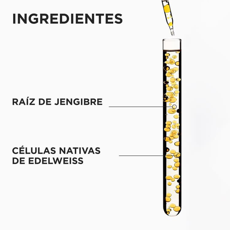 Genesis Fondant Reinforcateur