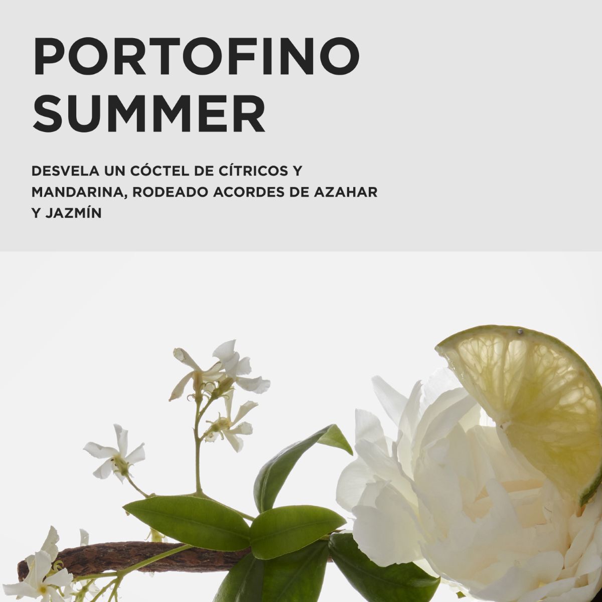 Premiere – Cofre de Regalo Trio