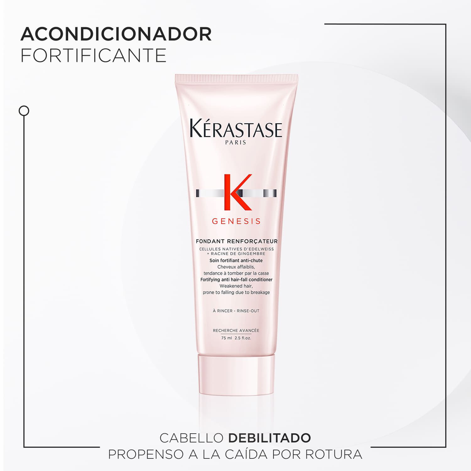 Kit de descubrimiento - Genesis