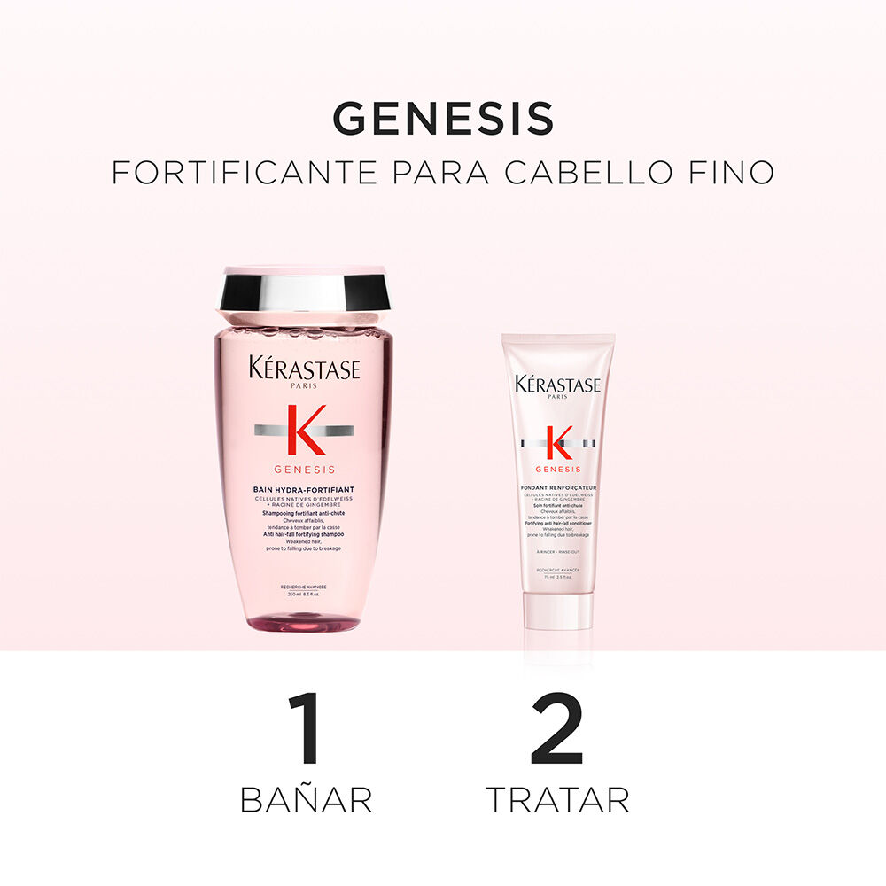 DUO DESCUBRIMIENTO GENESIS REINFORCATEUR