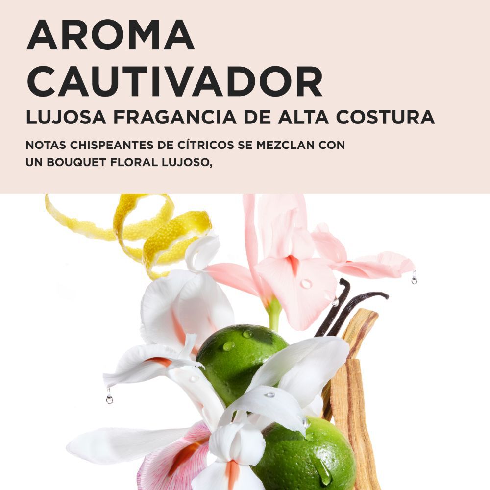 Gloss Absolu – Cofre de Regalo Trio