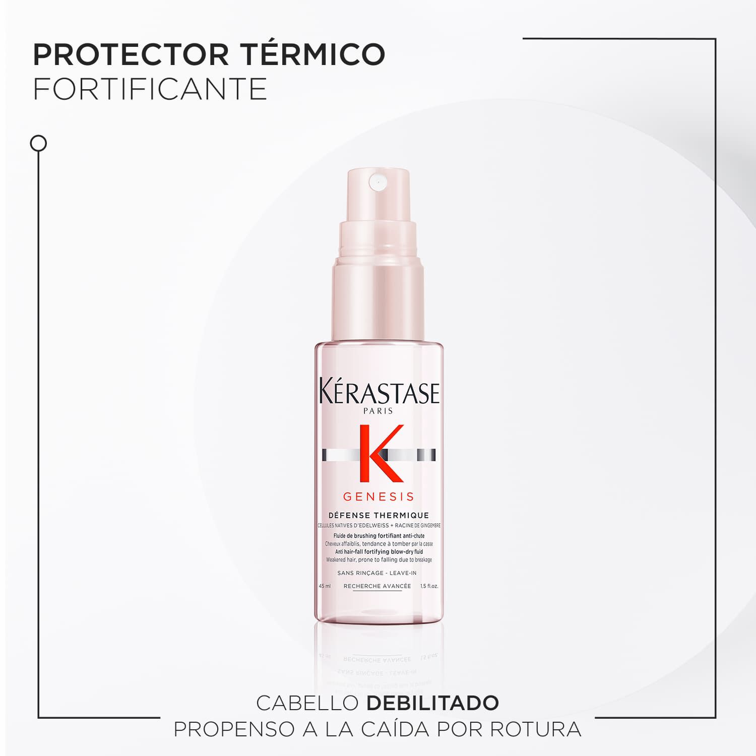 Kit de descubrimiento - Genesis