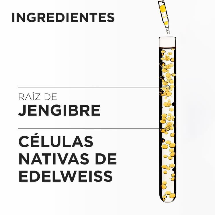 Acondicionador Genesis Fondant Reinforcateur