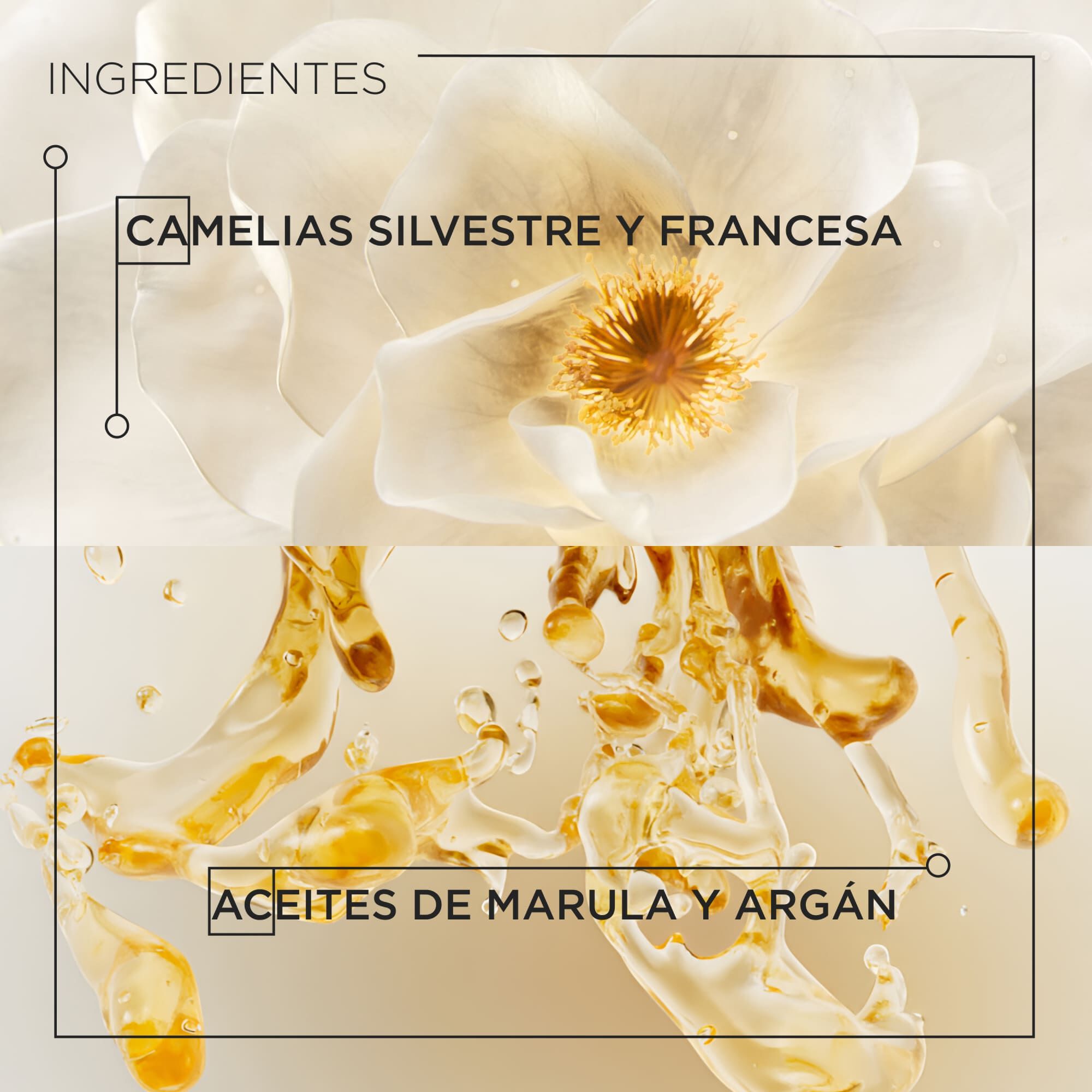 L'HUILE ORIGINALE - RECARGA 75ML