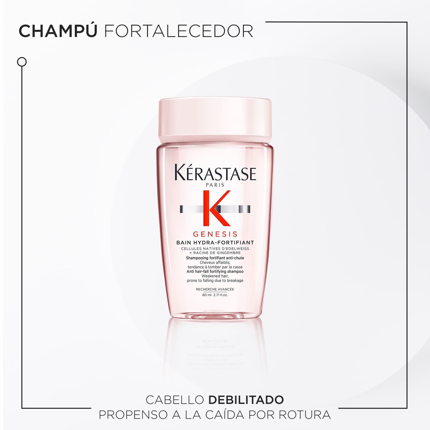 Kit de descubrimiento - Genesis