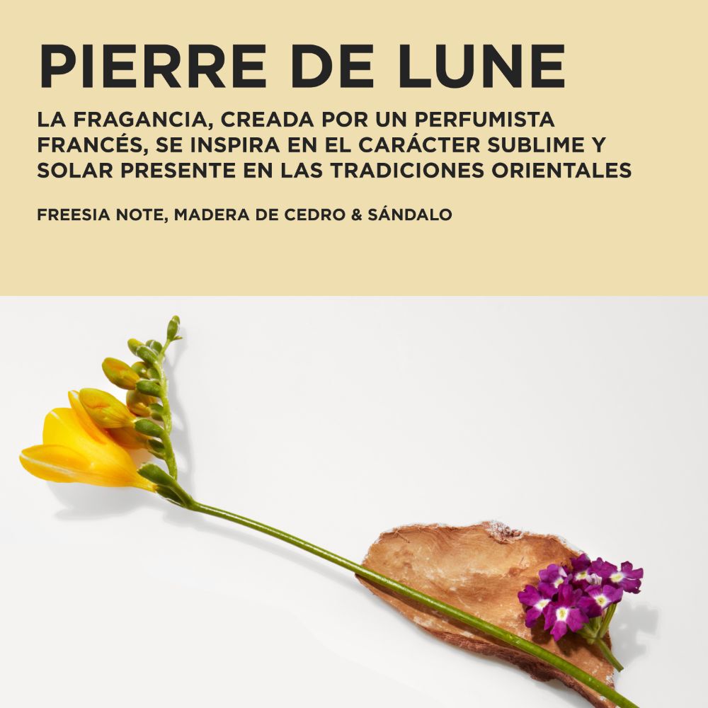 Elixir Ultime – Cofre de regalo Duo