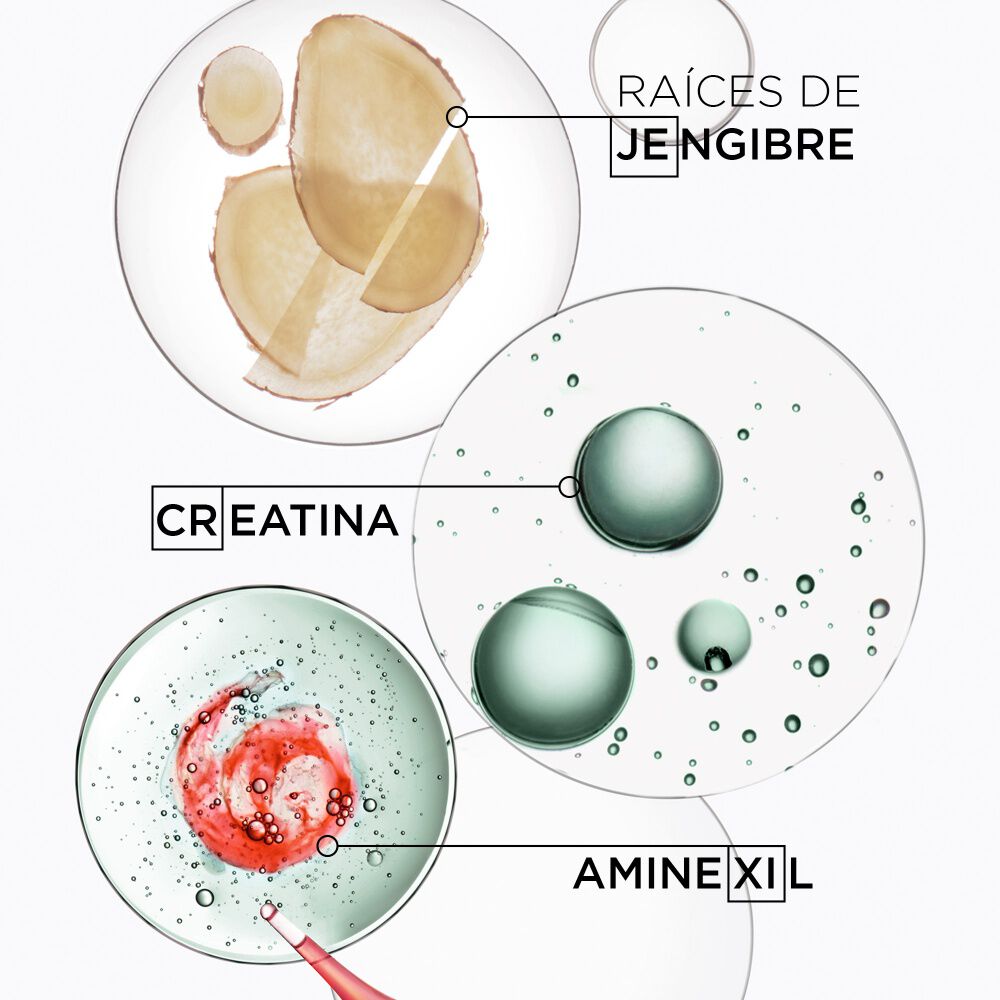 Champu Bain de Force Quotidien