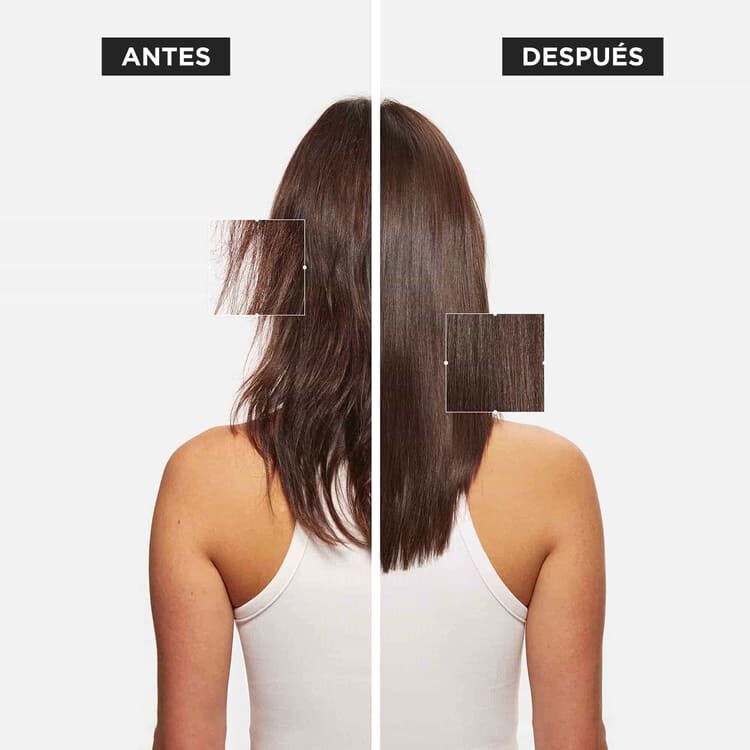 Champu Bain Nutri-Fortifiant