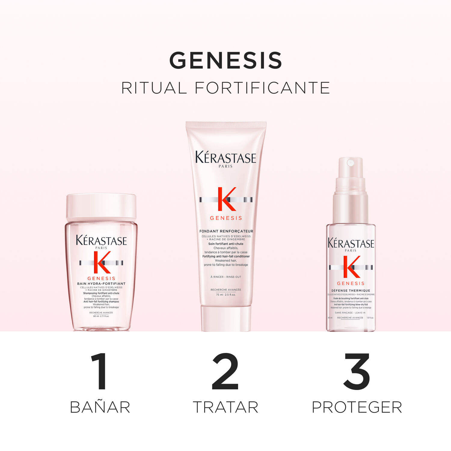 Kit de descubrimiento - Genesis