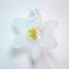 Flor blanca de loto con petalos suaves y gotas de agua brillantes sobre un fondo blanco, transmitiendo frescura y elegancia.