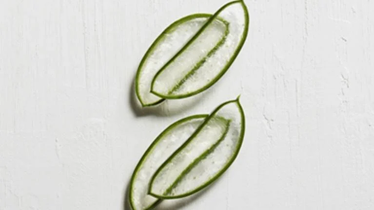 Mexican Aloe Extract