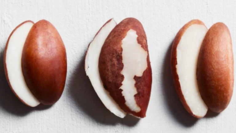 Amazonian Brazil Nut Oil