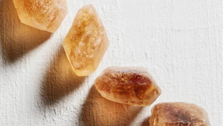 Paraguayan Sugar